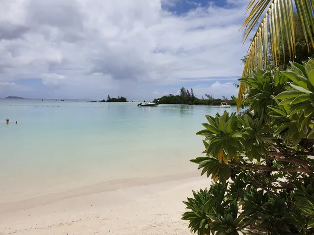 Calodyne Public Beach