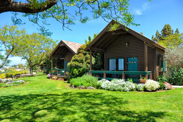 מצפה השלום - כפר חרוב