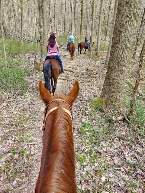 Equestrian Valley Farm, llc