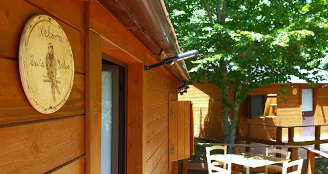 Chin Up! "Al nido del falco"