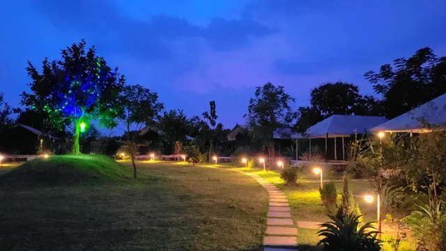 Tadoba Jungle Safari : Nature's Sprout Bodhivann Jungle Camp
