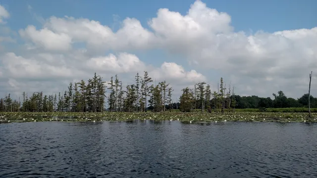 Cane Creek State Park