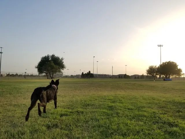 Hogan's Run Dog Park