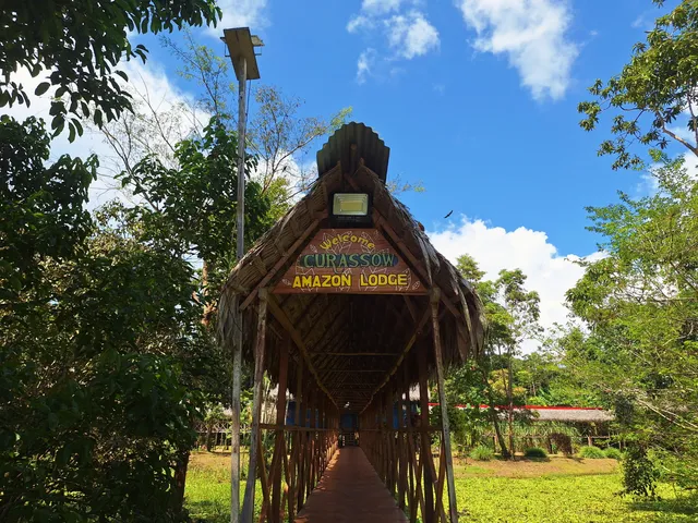 Curassow Amazon Lodge