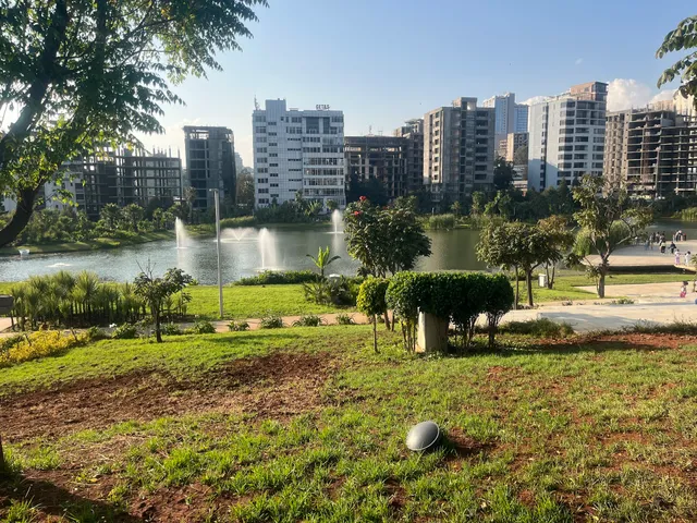 አዲስ ፓርክ | Addis Park