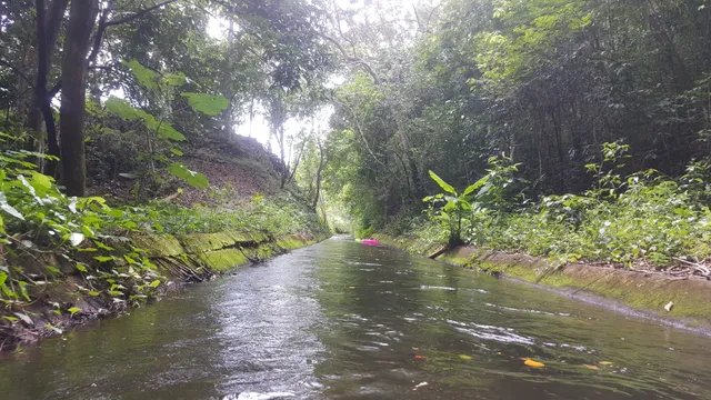 University of Puerto Rico - Agriculture Experiment Station
