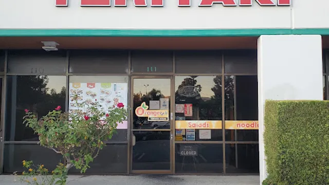 Orange Grill Teriyaki