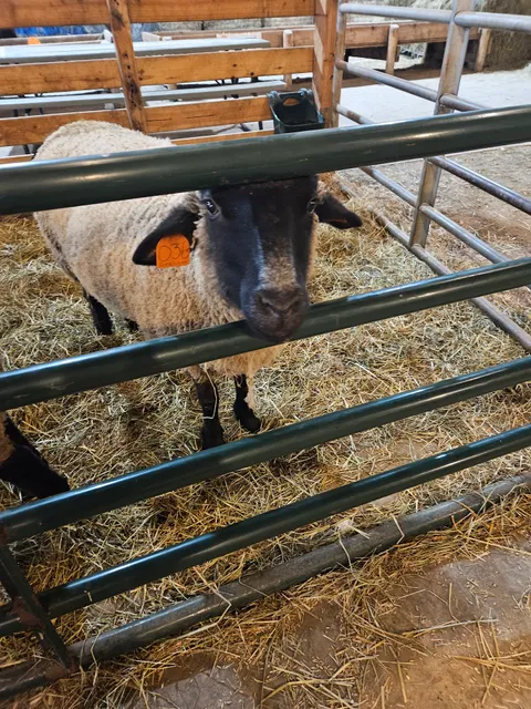 Fleming Farms Pumpkin Patch