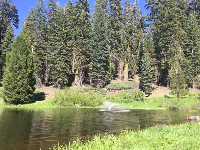 Sequoia Meadow Christian Camp