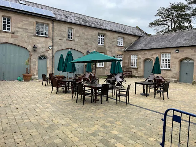 Coffee Cure at the Museum