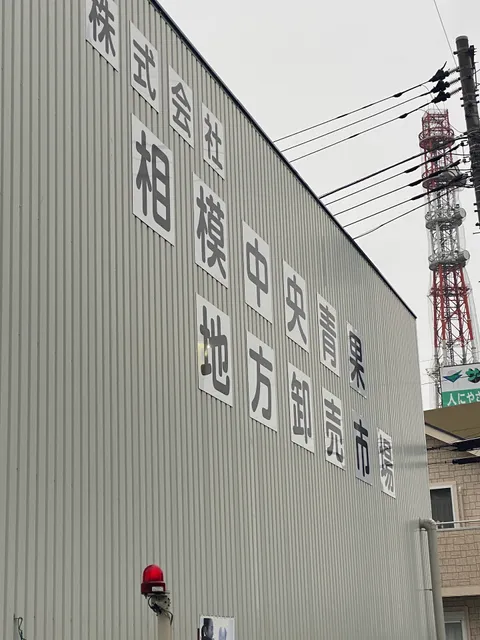 （株）相模中央青果地方卸売市場