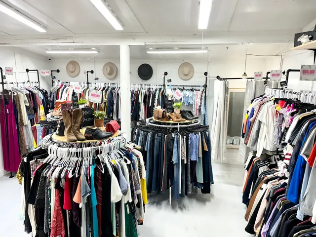 Tim & Zach Thrifty Finds