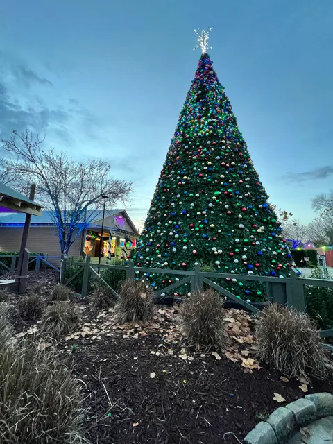 All-Star Amphitheater