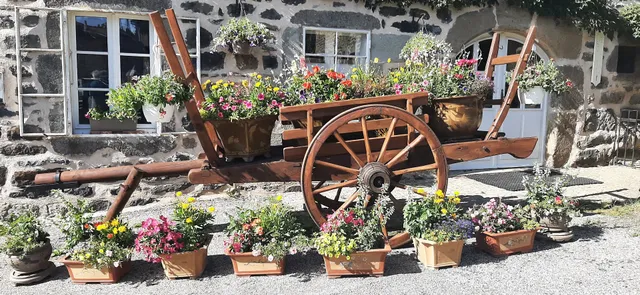 Gîte Du Mont Tourte