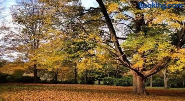 Inn at Fox Hill Farm Pomfret