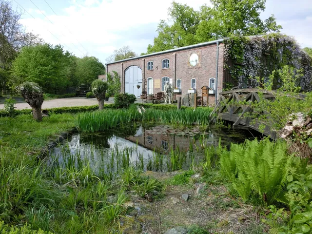 the little house on the lake