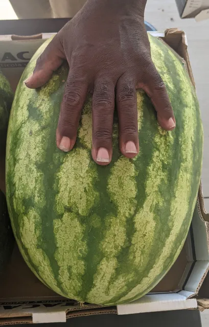Lee County Farmers Market