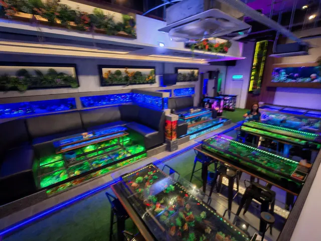 NCmy Bistro Aquarium Bar