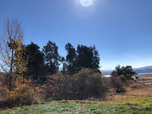 美泉三文鱼食府