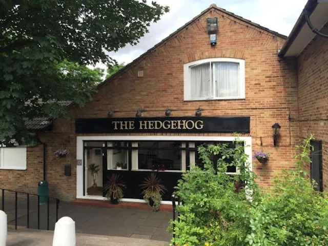 The Hedgehog