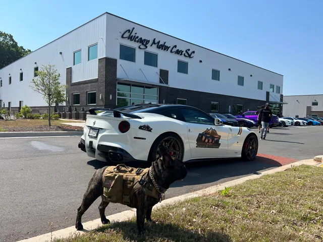 Chicago Motor Cars South Carolina