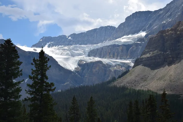 Crowfoot Glacier Viewpoint