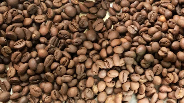 Warung Coffee Siboss, Desa Timbang Jaya