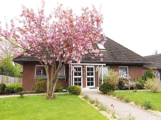 Apartment Kochi Sunhaus Cook