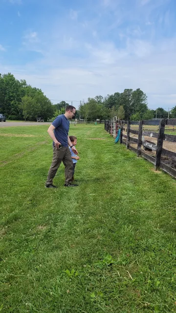 Rein Dancer at Laurita