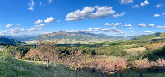 Green Road South Aso Viewing Deck