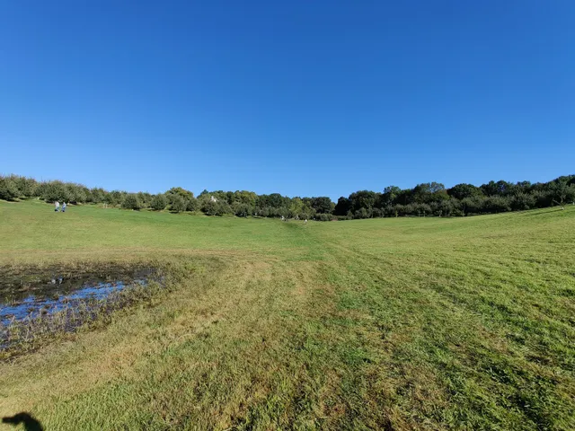 Beckwith Orchards Cider Mill