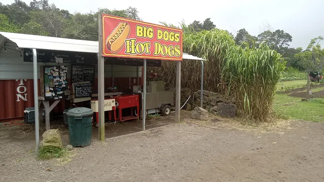 Big Dogs Hot Dogs