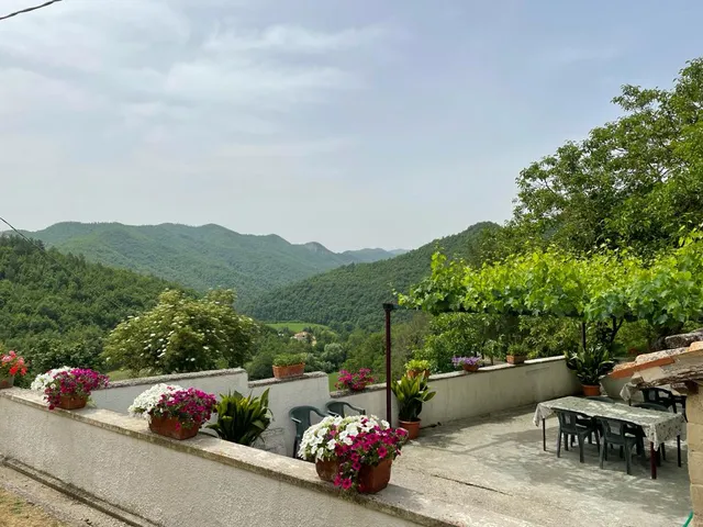 Agriturismo Sacchiafarm