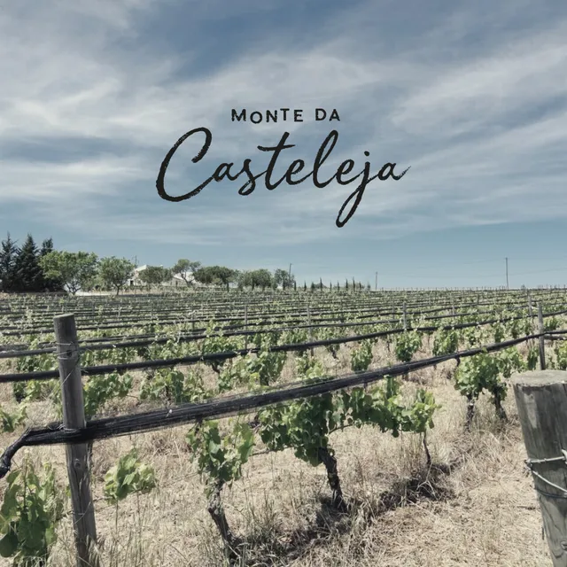Monte da Casteleja