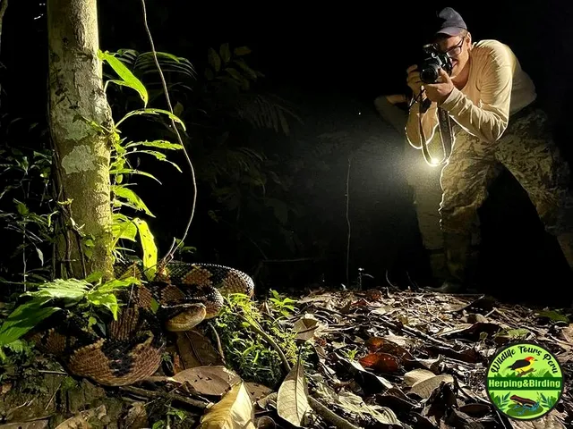 Wildlife Tours Peru E.I.R.L