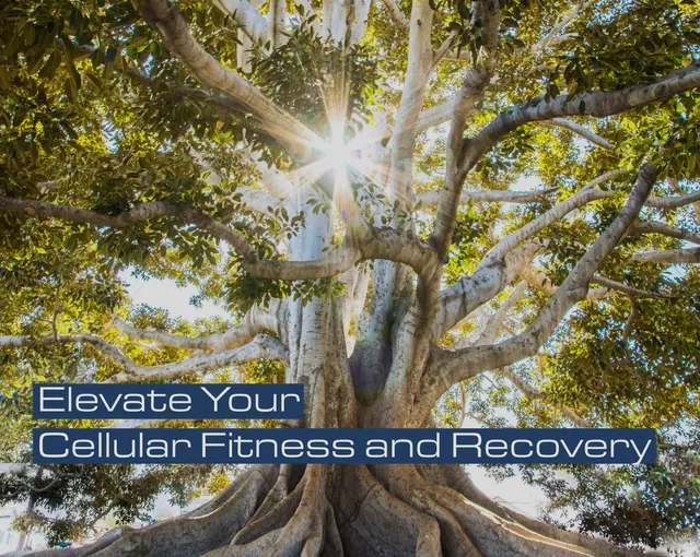 Revive 5 Wellness Spa