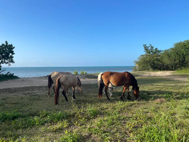 Almendros Disc Golf Park