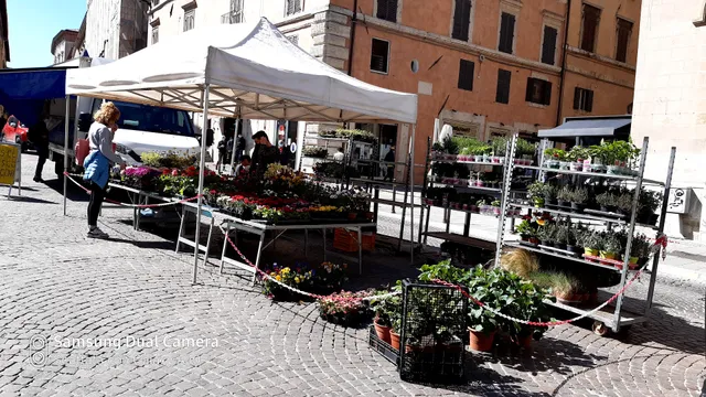 Mercato della terra di Umbertide