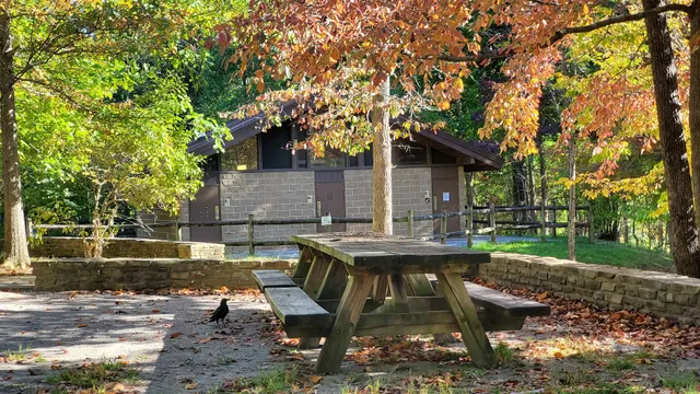 Chilhowee Group Camp