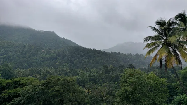 OYO Home 23519 Forest View 3BHK