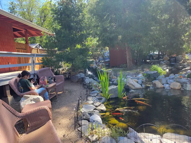 Silver Pines Village