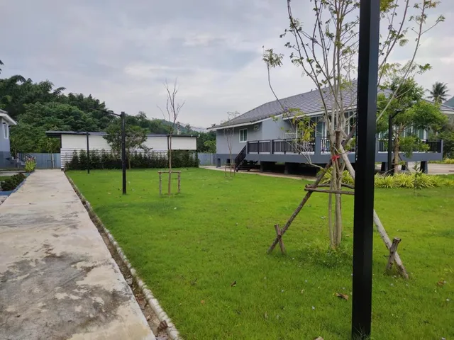 โคซี่ โฮมสเตย์