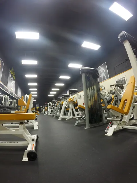 Flex Appeal Miami Gym & Personal Training