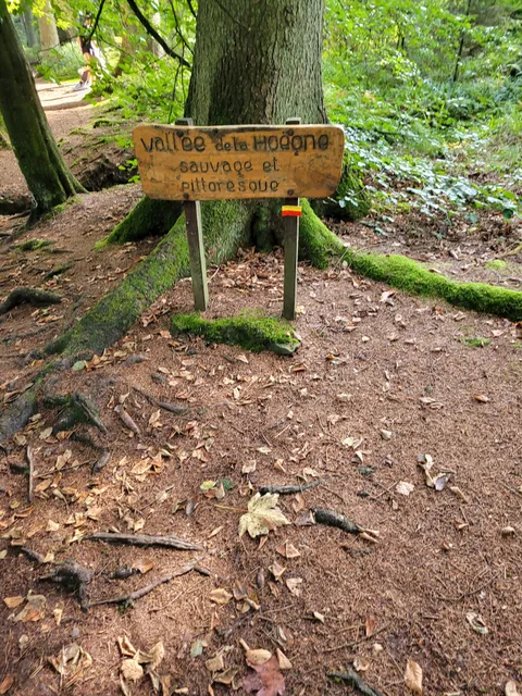 Promenade de la Hoëgne / La Hoëgne Valley