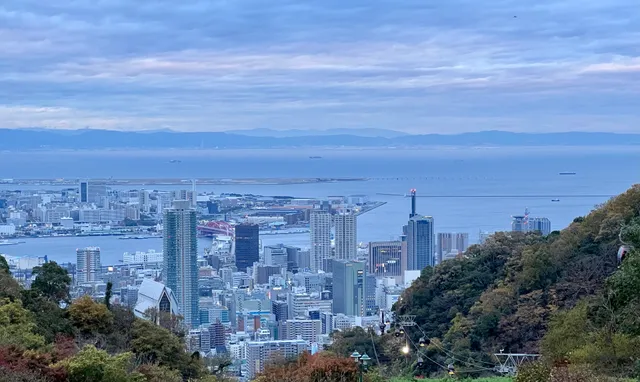 風の丘フラワー園