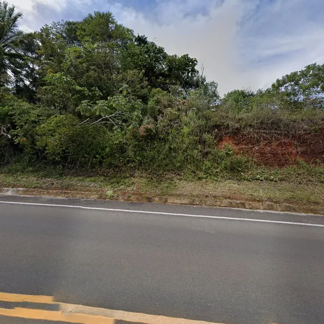 Araponga agroflorest