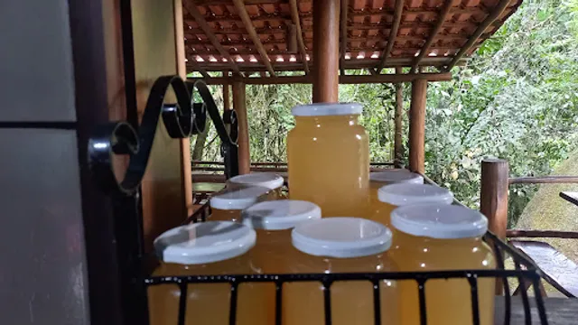 Quiosque toca do suíno