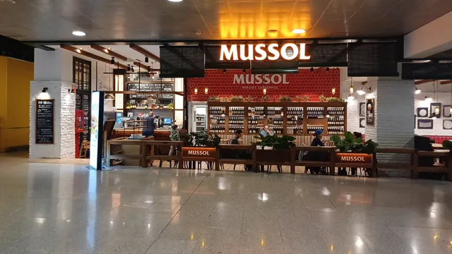 Mussol