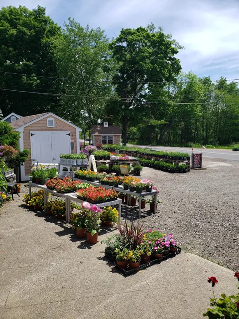 Colonial Gardens Full Service Florist & Garden Center