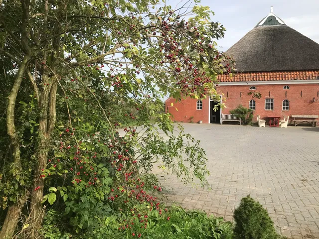 B&B klein Garnwerd 9